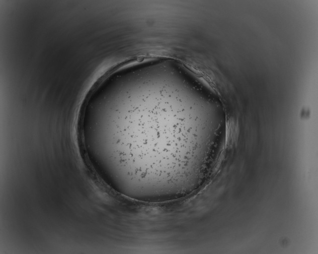 X0000102820195200809021258