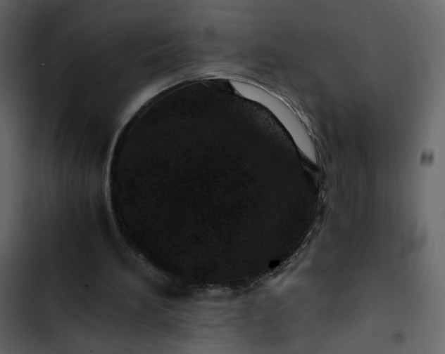 X0000102820196200809021258