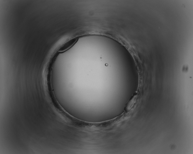 X0000102820197200809021258