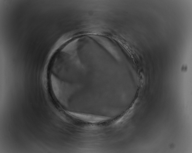 X0000102820198200809021258