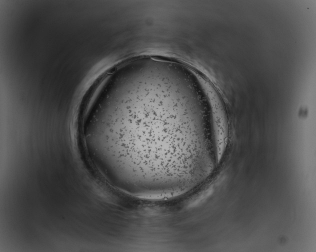 X0000102820199200809021258