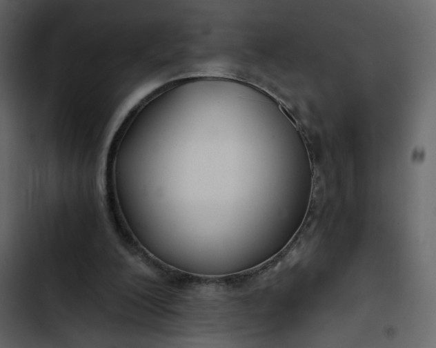 X0000102820200200809021258