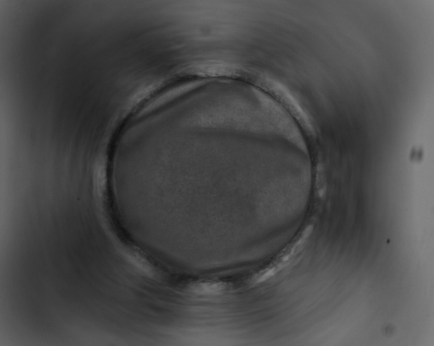 X0000102820202200809021258
