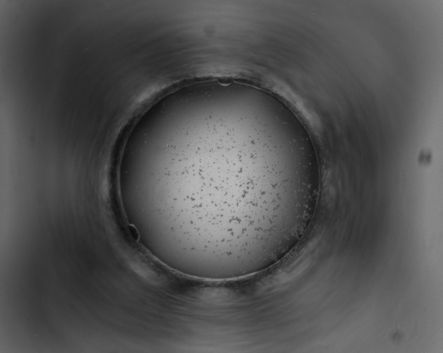 X0000102820203200809021258