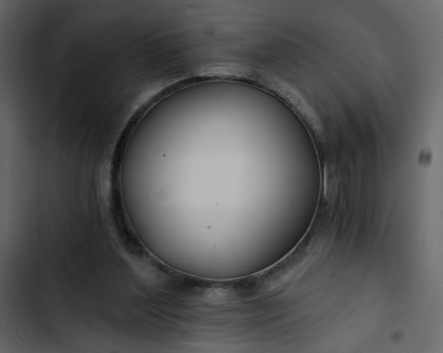 X0000102820204200809021258