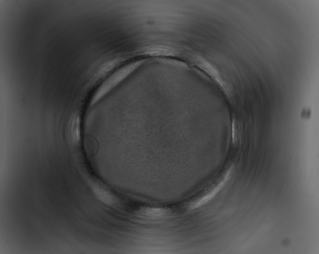 X0000102820205200809021258