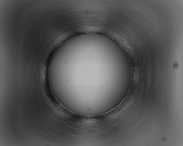 X0000102820206200809021258