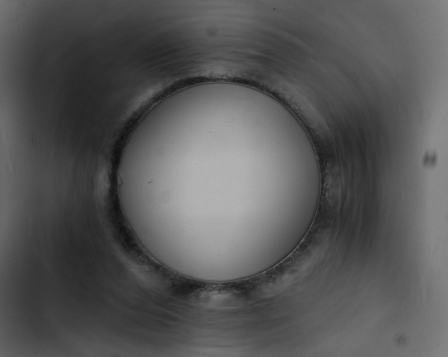 X0000102820208200809021258