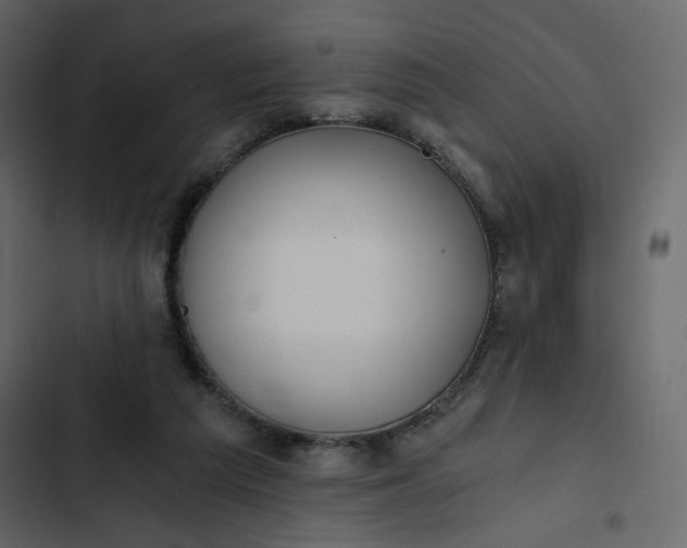 X0000102820209200809021258