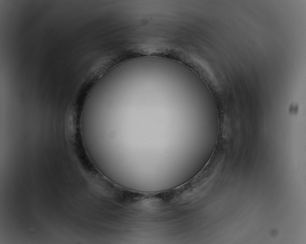 X0000102820210200809021258