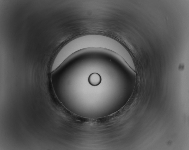 X0000102820211200809021258