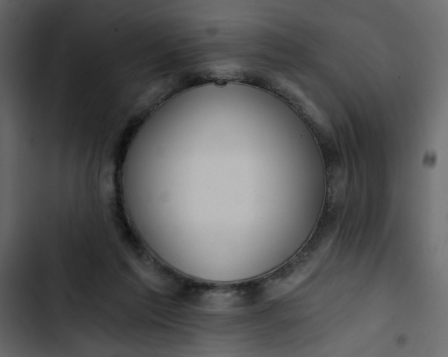 X0000102820213200809021258