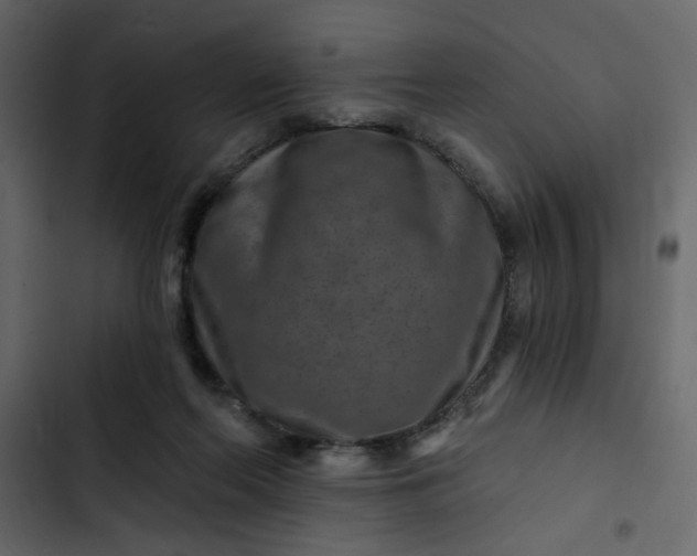 X0000102820214200809021258