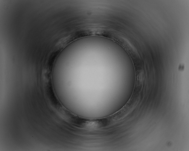 X0000102820218200809021258