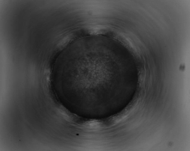 X0000102820219200809021258
