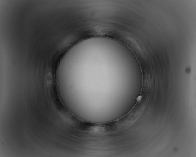 X0000102820220200809021258