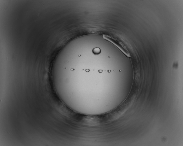 X0000102820221200809021258