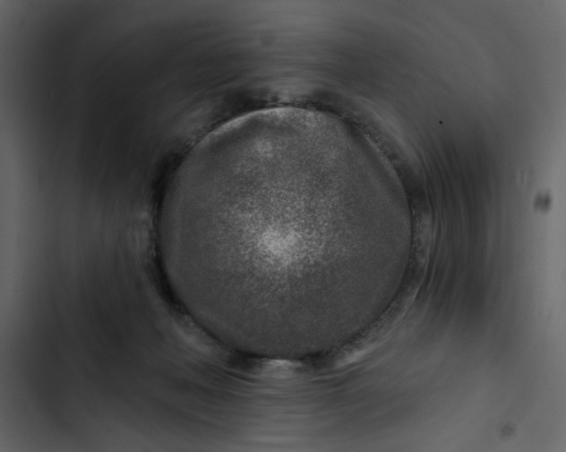 X0000102820222200809021258
