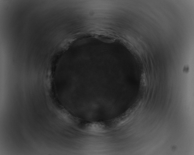 X0000102820223200809021258