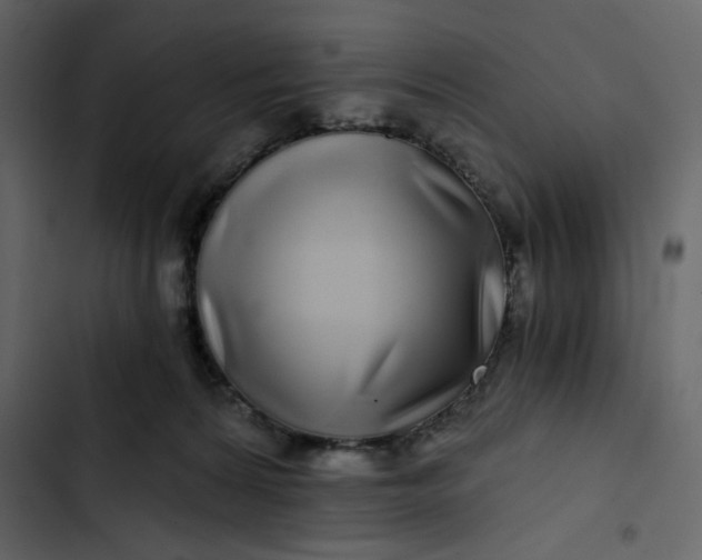 X0000102820224200809021258
