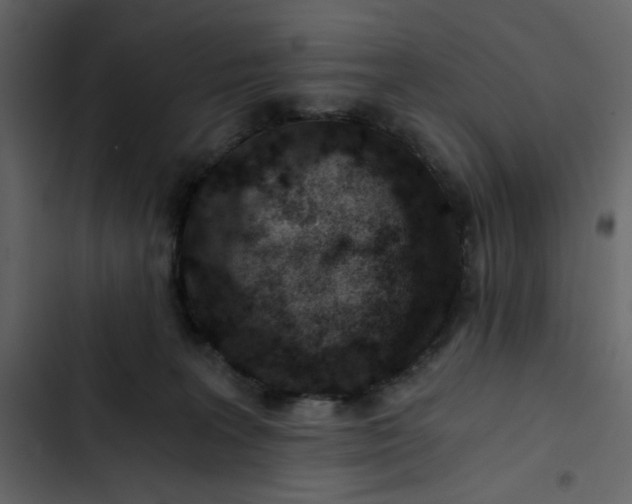 X0000102820227200809021258