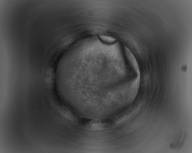 X0000102820228200809021258