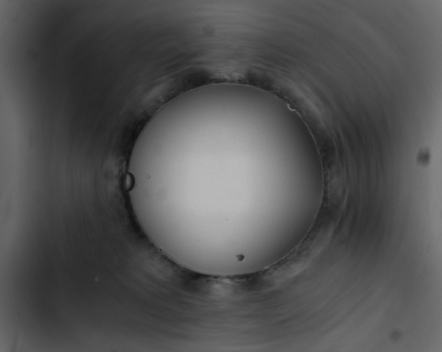 X0000102820229200809021258