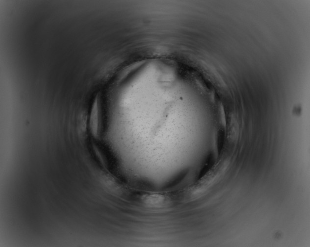 X0000102820230200809021258