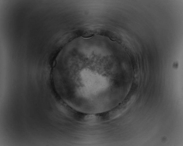 X0000102820231200809021258
