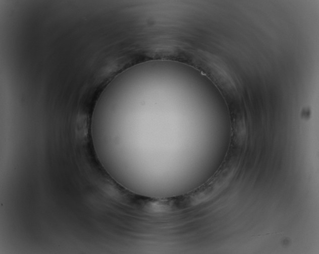 X0000102820232200809021258