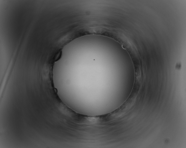 X0000102820233200809021258