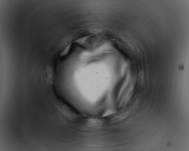 X0000102820234200809021258