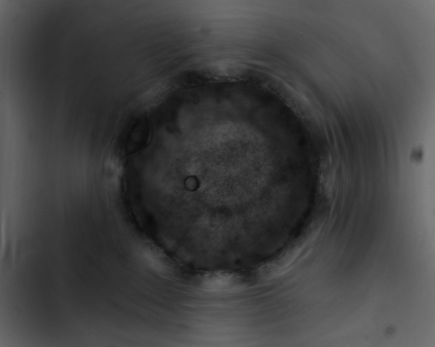 X0000102820235200809021258
