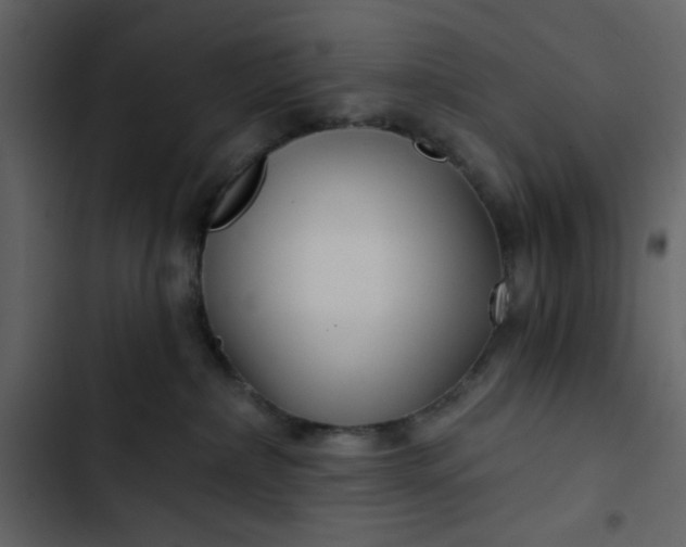 X0000102820236200809021258