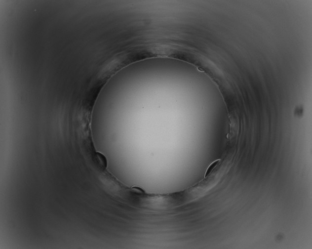 X0000102820237200809021258