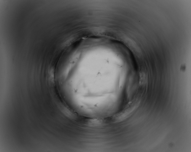 X0000102820238200809021258