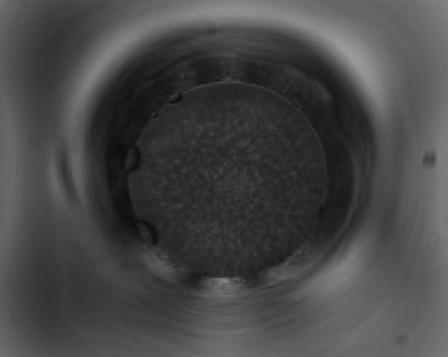 X0000102820239200809021258