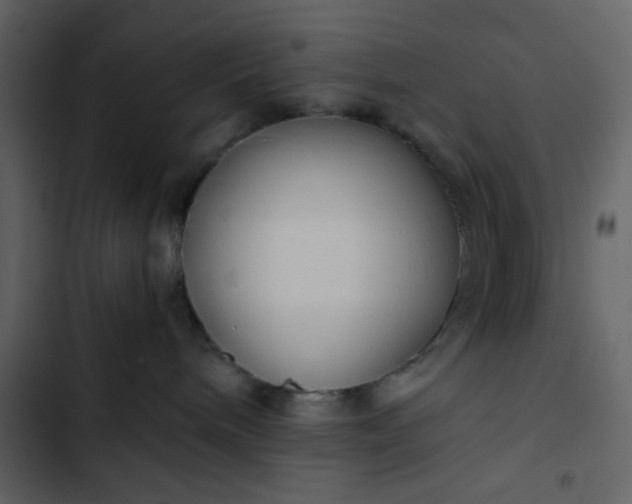 X0000102820240200809021258