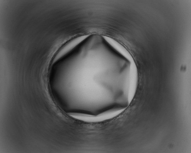 X0000102820241200809021257
