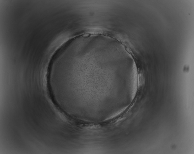 X0000102820243200809021257