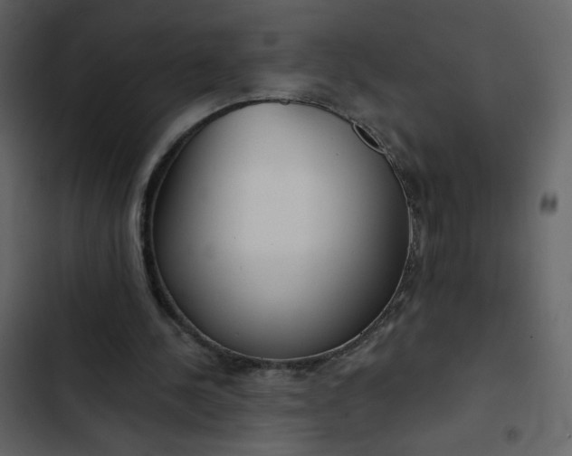 X0000102820244200809021257