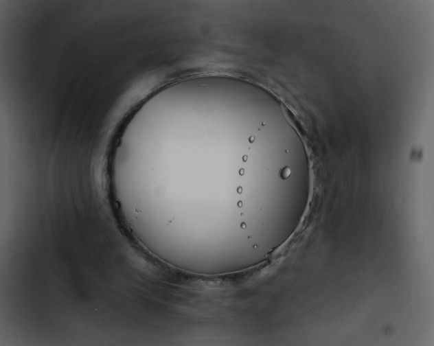 X0000102820245200809021257