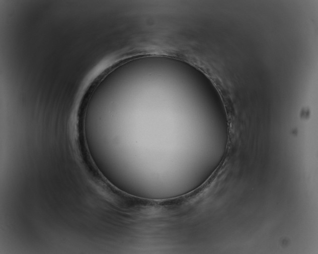 X0000102820246200809021257
