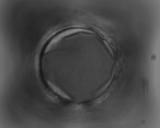X0000102820247200809021257