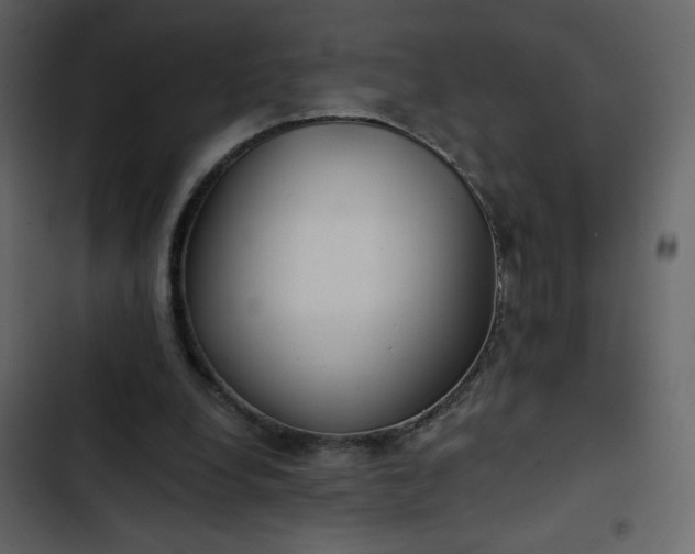 X0000102820248200809021257