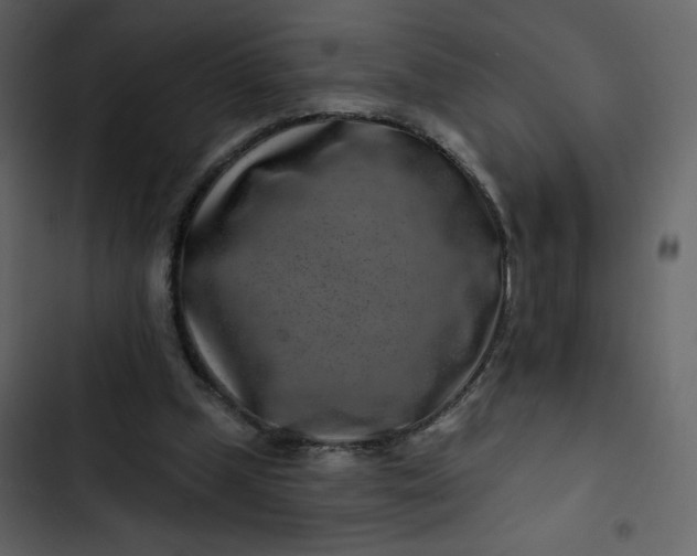 X0000102820249200809021257