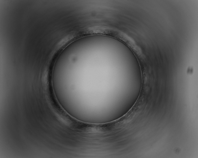 X0000102820250200809021257