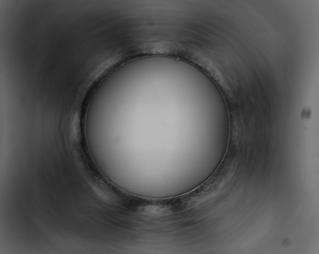 X0000102820251200809021257