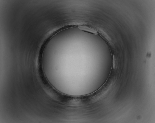 X0000102820252200809021257