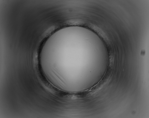 X0000102820254200809021257